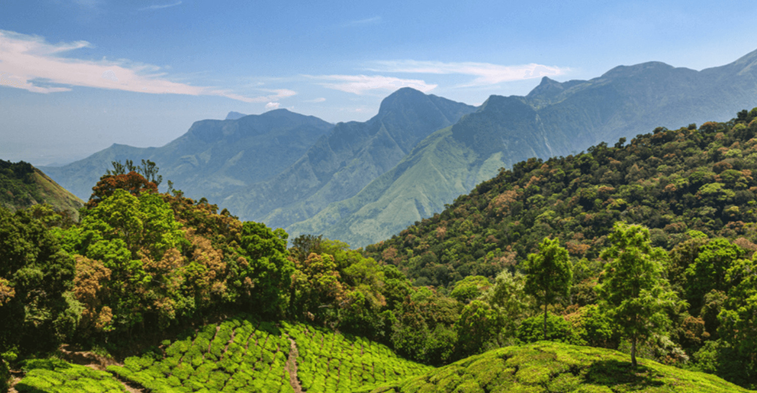 Redefining Food Supply Chain Traceability and Trust 